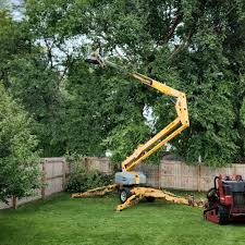 Mulching Services in Shokan, NY